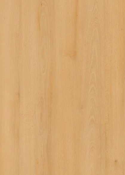 Weidbuche A-H1910-ST9