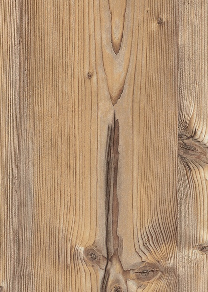 Bamberg Fichte B-H1487-ST22